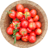 Zaden tomaat 'Gardener's delight'