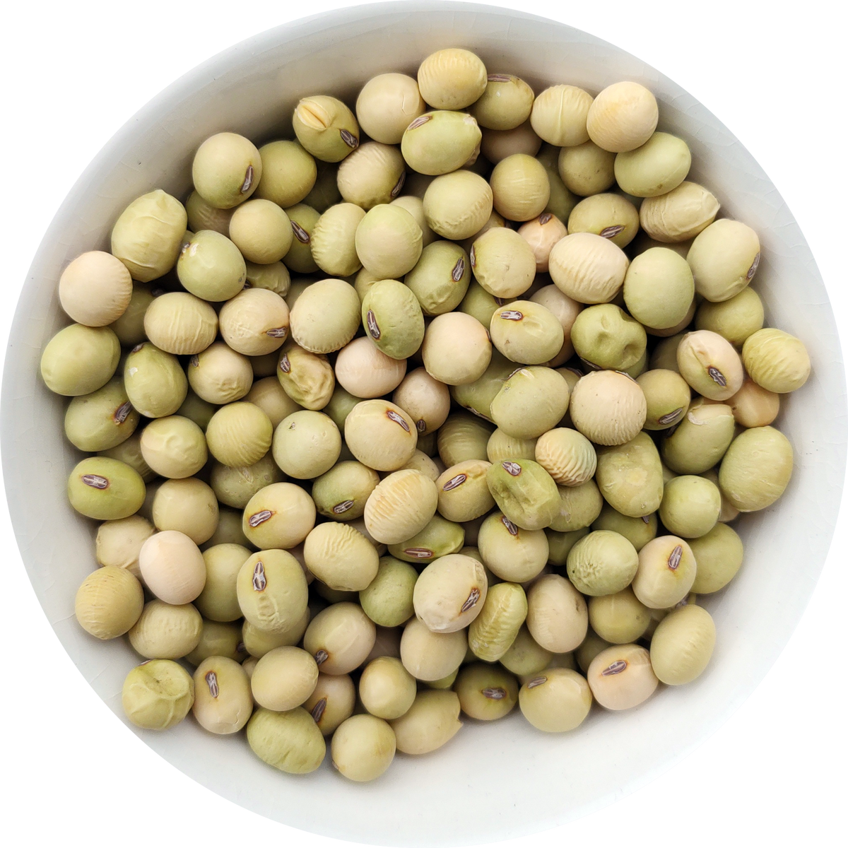 Producten – Pagina 15 – Kwekerij KWEEK